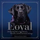 Rebecca Ascher-Walsh - Loyal