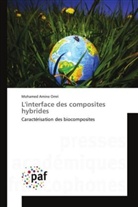 Mohamed Amine Omri - L'interface des composites hybrides