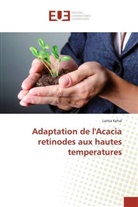 Lamia Kehal - Adaptation de l'Acacia retinodes aux hautes temperatures