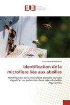 Amel Lamara Mahamed - Identification de la microflore liée aux abeilles