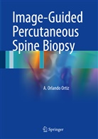 A Orlando Ortiz, A. Orlando Ortiz - Image-Guided Percutaneous Spine Biopsy
