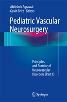 Abhishe Agrawal, Abhishek Agrawal, Britz, Britz, Gavin Britz - Pediatric Vascular Neurosurgery