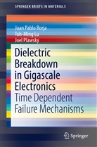 Juan Pabl Borja, Juan Pablo Borja, Toh-Min Lu, Toh-Ming Lu, Joel Plawsky - Dielectric Breakdown in Gigascale Electronics