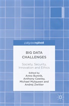 Anno Cawley Bunnik, Michael Zwitter Mulqueen, Anno Bunnik, Anthon Cawley, Anthony Cawley, Michael Mulqueen... - Big Data Challenges