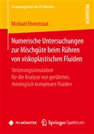 Michael Ehrentraut - Numerische Untersuchungen zur Mischgüte beim Rühren von viskoplastischen Fluiden