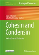 Shirahige, Shirahige, Katsuhiko Shirahige, Kyok Yokomori, Kyoko Yokomori - Cohesin and Condensin