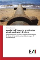 Cristina Buscarnera - Analisi dell'impatto ambientale degli scaricatori di piena