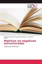 Nina Ho, Hans Nina Hooper, Ricard Soto Montero, Ricardo Soto Montero, Elvis Valero Kari, Elvis R Valero Kari... - Matrices no negativas estructuradas