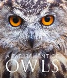 Mike Unwin, Unwin Mike, Tipling David - A Parliament of Owls