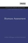 Andrew Millington, Andrew Townsend Millington, Millington Andrew, John Townsend - Biomass Assessment