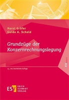 Horst Gräfer, Horst (Prof. Dr. Gräfer, Horst (Prof. Dr.) Gräfer, Guido A (Prof. D Scheld, Guido A. Scheld - Grundzüge der Konzernrechnungslegung