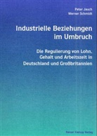 Peter Jauch, Werner Schmidt - Industrielle Beziehungen im Umbruch