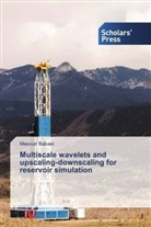 Masoud Babaei - Multiscale wavelets and upscaling-downscaling for reservoir simulation