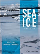 David N Thomas, David N. Thomas, David N. (School of Ocean Sciences Thomas, DN Thomas, Davi N Thomas, David N Thomas... - Sea Ice