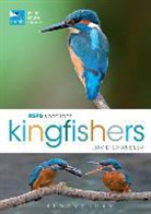 David Chandler, Chandler David - RSPB Spotlight Kingfishers