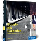 Melanie Derks - Google Nik Collection