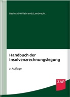 Anne Basinski, Christoph Hillebrand, Martin Lambrecht - Handbuch der Insolvenzrechnungslegung