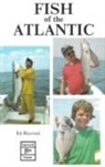 Ed Ricciuti - Fish of the Atlantic