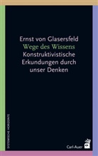 Ernst von Glasersfeld, Han Rudi Fischer, Hans Rudi Fischer - Wege des Wissens
