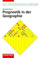 Gerhard Stiens - Prognostik in der Geographie