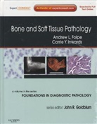 Andrew L. Folpe, Carrie Y. Inwards - Bone and Soft Tissue Pathology