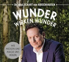 Dr. med. Eckart von Hirschhausen, Dr. med. Eckart von Hirschhausen - Wunder wirken Wunder, 1 Audio-CD (Hörbuch)