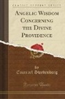 Emanuel Swedenborg - Angelic Wisdom Concerning the Divine Providence (Classic Reprint)