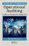 Hernan Murdock, Hernan (Murdock Global Advisors Murdock - Operational Auditing