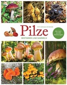 Ute Künkele, Till Lohmeyer, Till R Lohmeyer, Till R. Lohmeyer - Pilze - Bestimmen und Sammeln