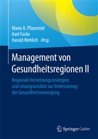 Axe Focke, Axel Focke, Harald Mehlich, Mario A. Pfannstiel - Management von Gesundheitsregionen. Bd.2