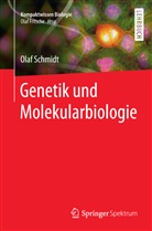 Olaf Schmidt, Martin Lay, Ola Fritsche, Olaf Fritsche - Genetik und Molekularbiologie