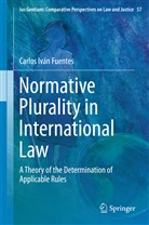 Carlos Iván Fuentes - Normative Plurality in International Law