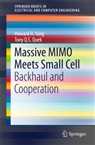Tony Q S Quek, Tony Q. S. Quek, Tony Q.S. Quek, Howard Yang, Howard H Yang, Howard H. Yang - Massive MIMO Meets Small Cell