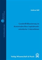 Andreas Boll - Goodwill-Bilanzierung im Konzernabschluss kapitalmarktorientierter Unternehmen.