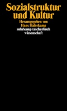 Han Haferkamp, Hans Haferkamp - Sozialstruktur und Kultur