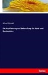 Alfred Schmid - Die Anpflanzung und Behandlung der Korb- und Bandweiden
