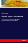 Oskar Kirchner - Flora von Stuttgart und Umgebung