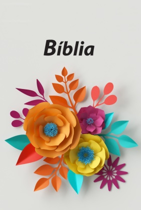 Bibelausgaben: Bíblia Sagrada - Bibel Portugiesisch - Traditionelle Übersetzung
