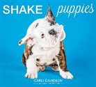 Carli Davidson - Shake Puppies