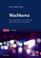 Pete Nydahl, Peter Nydahl - Wachkoma