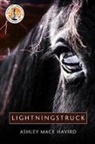 Ashley Mace Havird - Lightningstruck