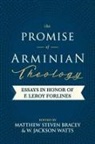 Matthew Steven Bracey, W. Jackson Watts, Matthew S. Bracey, W. Jackson Watts - The Promise of Arminian Theology