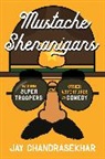 Jay Chandrasekhar - Mustache Shenanigans