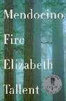 Elizabeth Tallent - Mendocino Fire