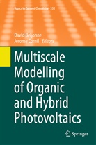 Davi Beljonne, David Beljonne, CORNIL, Cornil, Jerome Cornil - Multiscale Modelling of Organic and Hybrid Photovoltaics