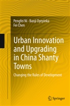 Fei Chen, Pengfe Ni, Pengfei Ni, Banj Oyeyinka, Banji Oyeyinka - Urban Innovation and Upgrading in China Shanty Towns