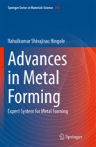 Rahulkumar Shivajirao Hingole - Advances in Metal Forming