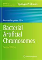 Kumara Narayanan, Kumaran Narayanan - Bacterial Artificial Chromosomes