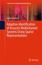 Karim Helwani - Adaptive Identification of Acoustic Multichannel Systems Using Sparse Representations