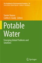 A Grady, A Grady, Caitlin A Grady, Caitlin A. Grady, Tami Younos, Tamim Younos - The Handbook of Environmental Chemistry - 30: Potable Water